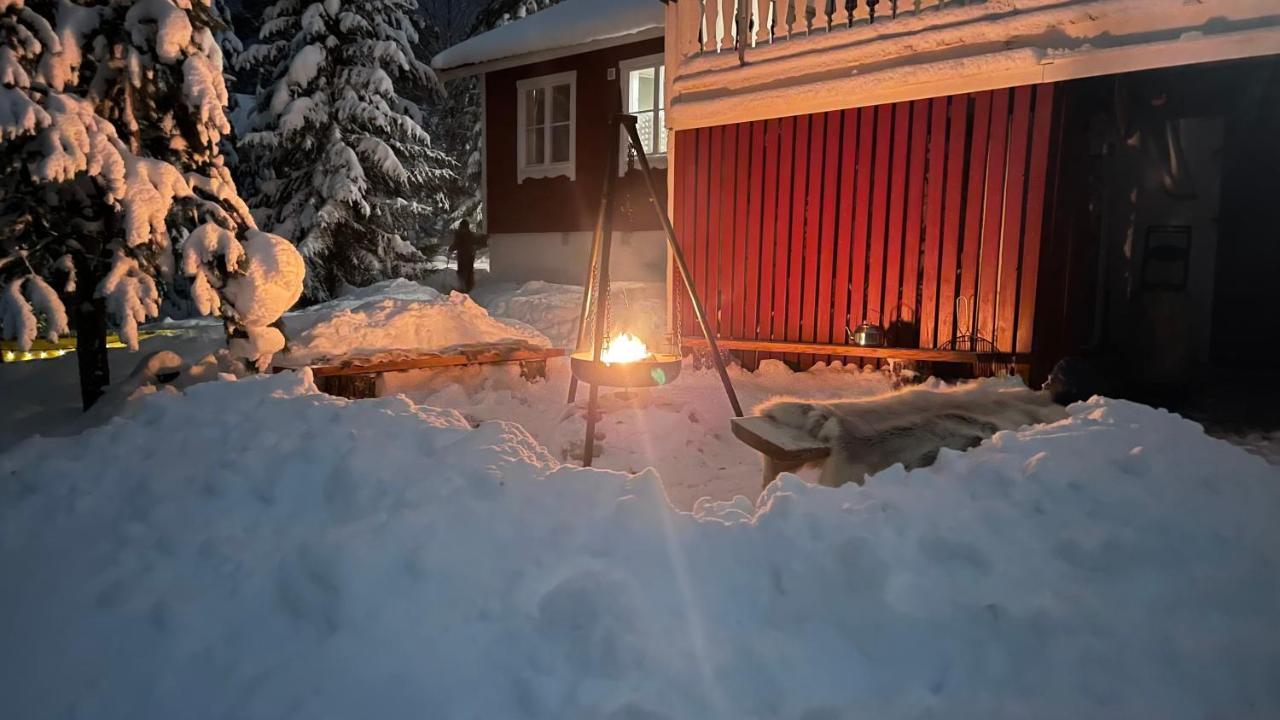 Mountain Cabin Lofsdalen Exterior photo