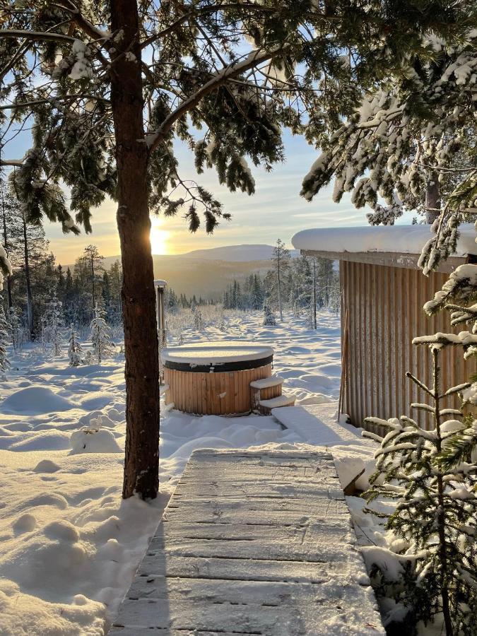 Mountain Cabin Lofsdalen Exterior photo