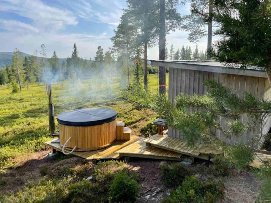 Mountain Cabin Lofsdalen Exterior photo