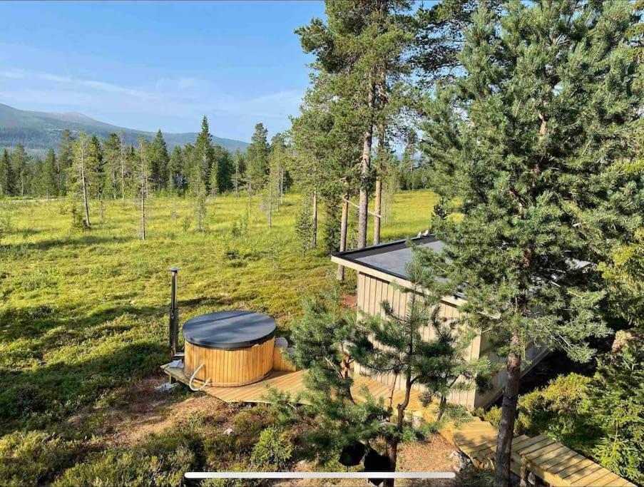 Mountain Cabin Lofsdalen Exterior photo