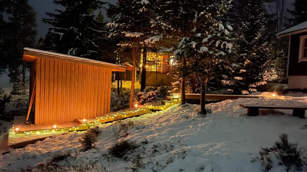 Mountain Cabin Lofsdalen Exterior photo