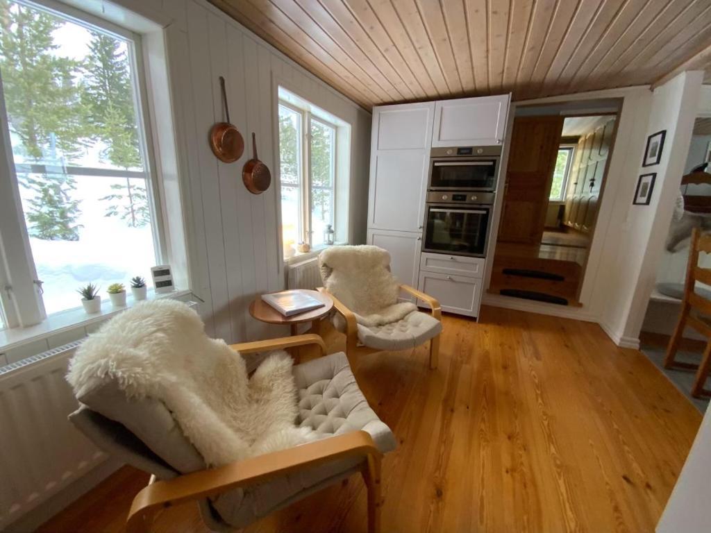 Mountain Cabin Lofsdalen Exterior photo