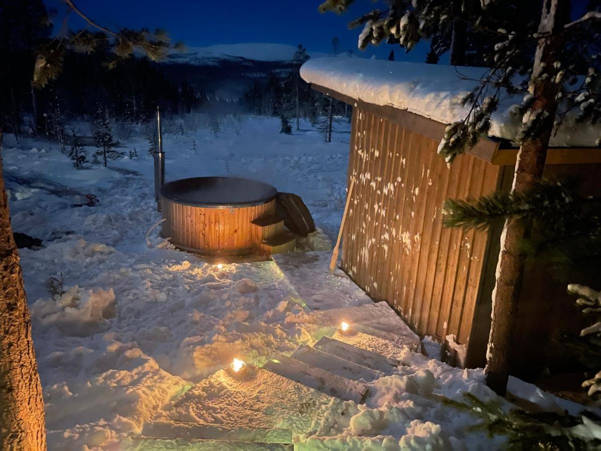 Mountain Cabin Lofsdalen Exterior photo