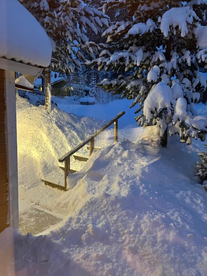 Mountain Cabin Lofsdalen Exterior photo